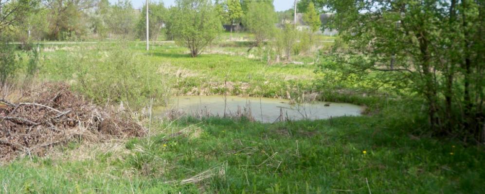 
            Фотография Мироновки