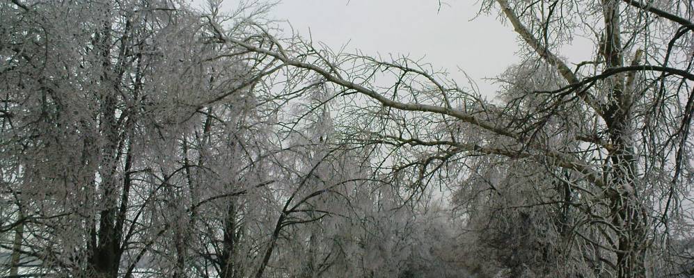 
            Фотография Иваньево