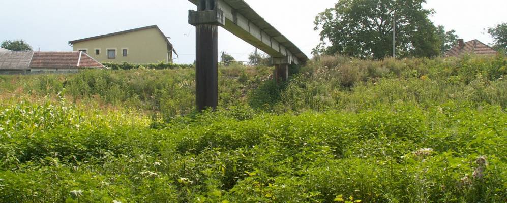 
            Фотография Старое Давыдково