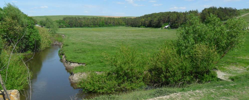 
            Фотография Малые Борки