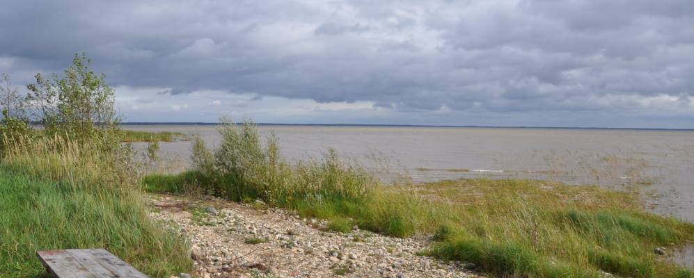 
            Фотография Валмы