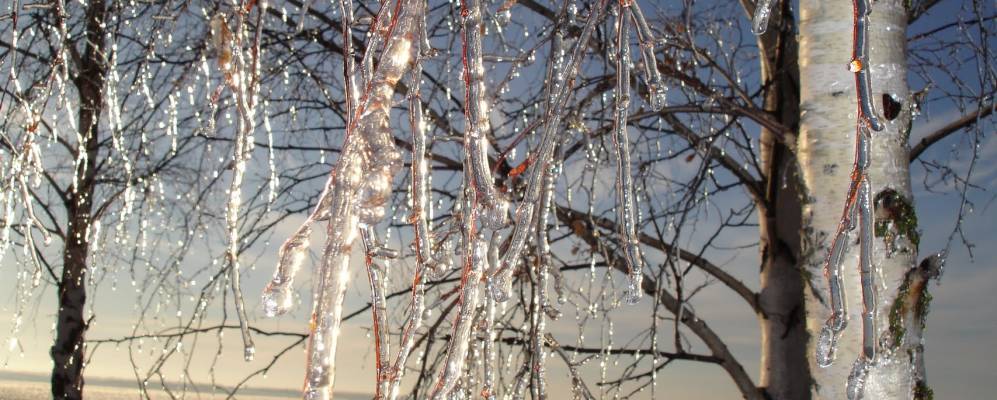 Фотография Коробово