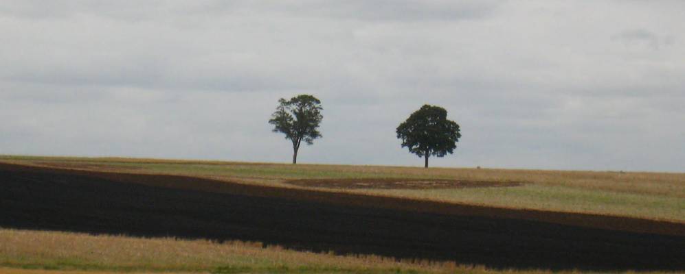 
            Фотография Жанли