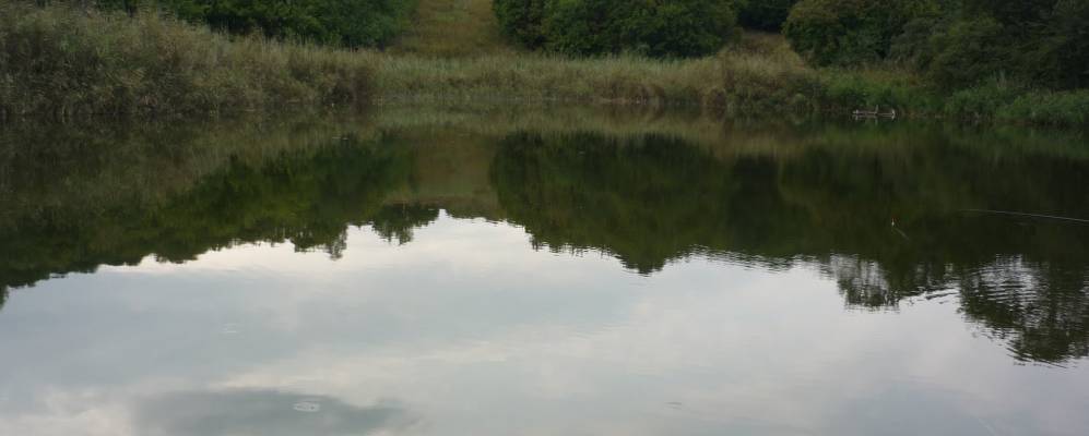 
            Фотография Гарусенка