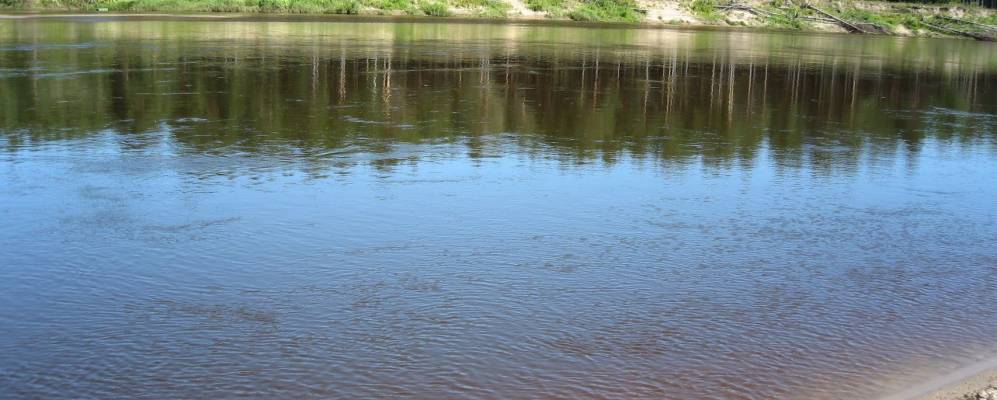 
            Фотография Минино