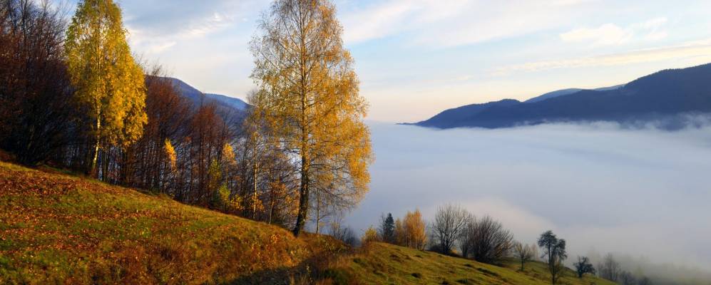 
            Фотография Тростянца