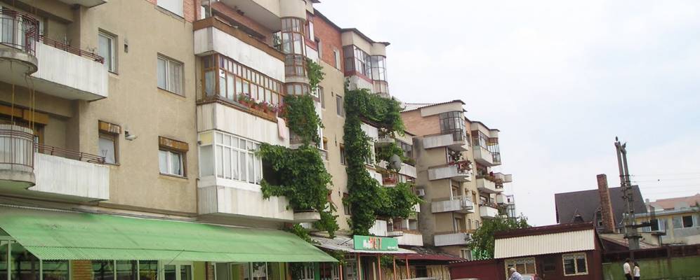 
            Фотография Маргиты