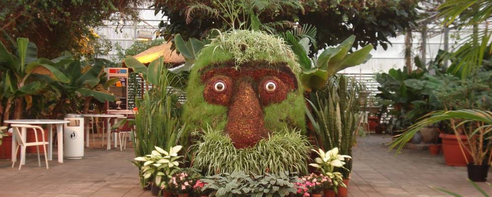 Фотография Кверагерди