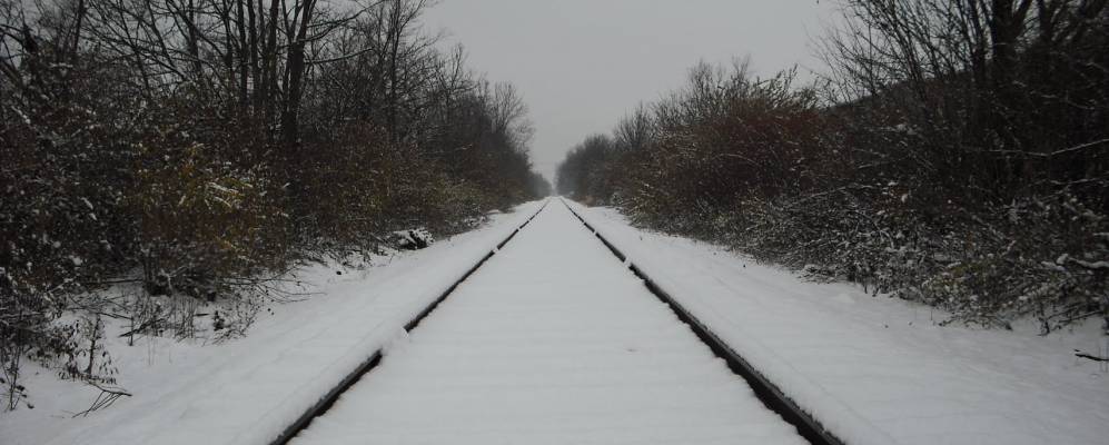 
            Фотография Сисеро