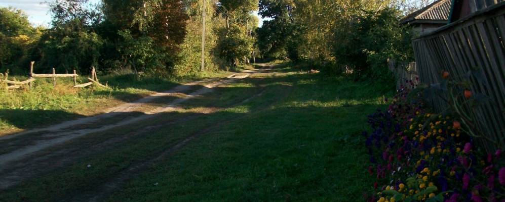 
            Фотография Лавы