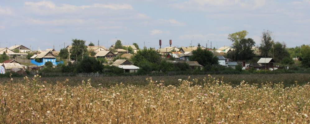 
            Фотография Стоговки