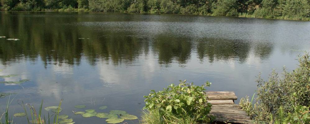 Фотография Гришково