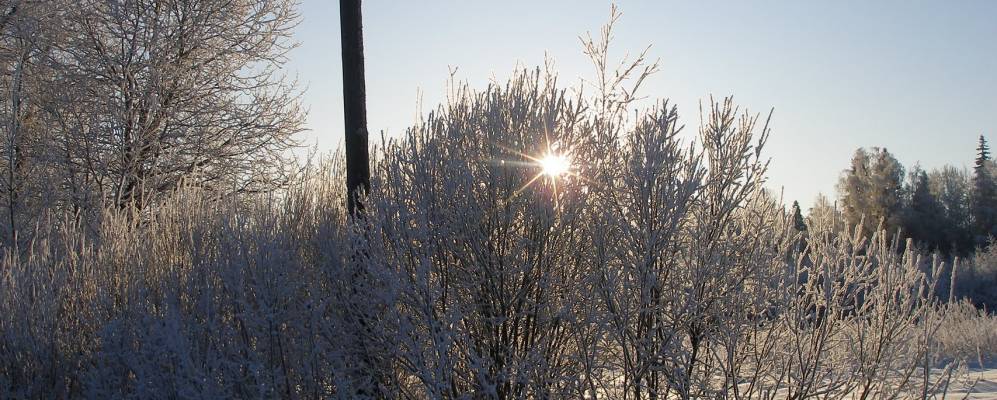 
            Фотография Слободы