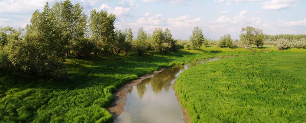 Фотография Овсянниковы