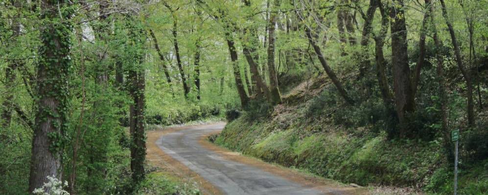 
            Фотография Сенака