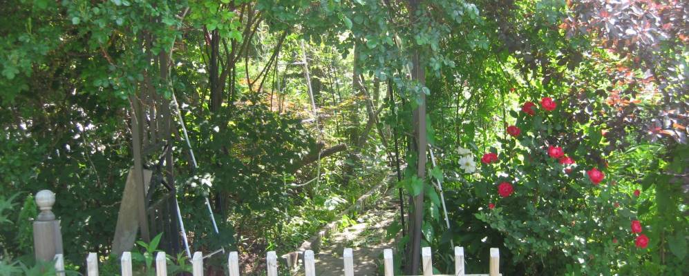 
            Фотография Брустера