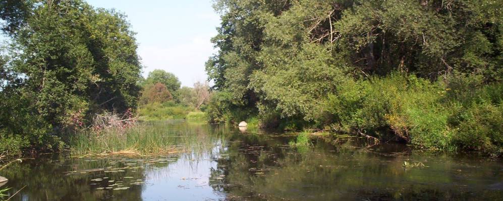 Фотография Батищево