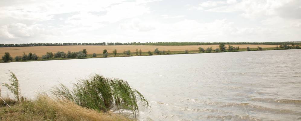 
            Фотография Чистоводного