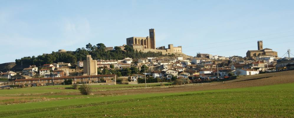 
            Фотография Артахоны