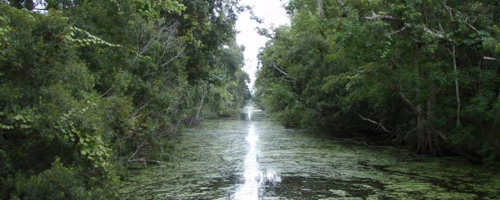 
            Фотография Эстель