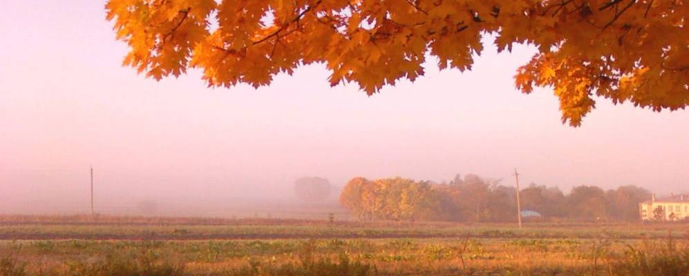 
            Фотография Йосиповки