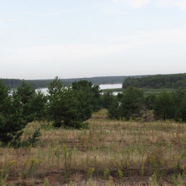 Новоеленский