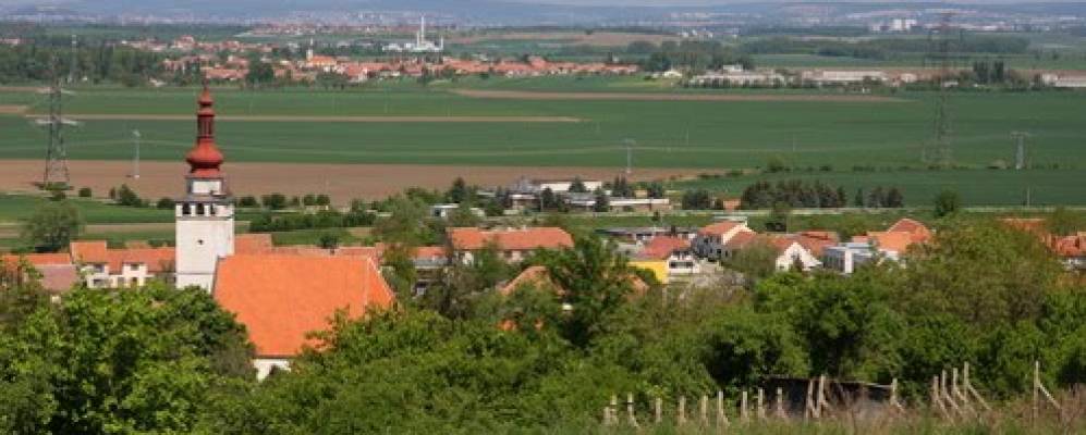 
            Фотография Блючины