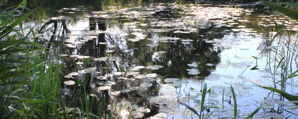 
            Фотография Заречного