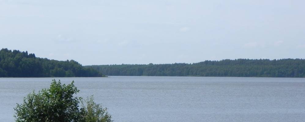 
            Фотография Нового Курдюма