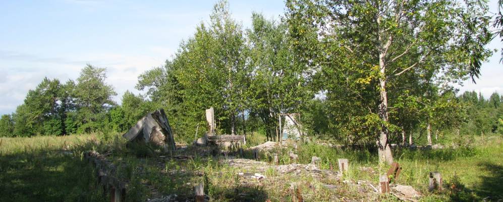 Фотография Ушек