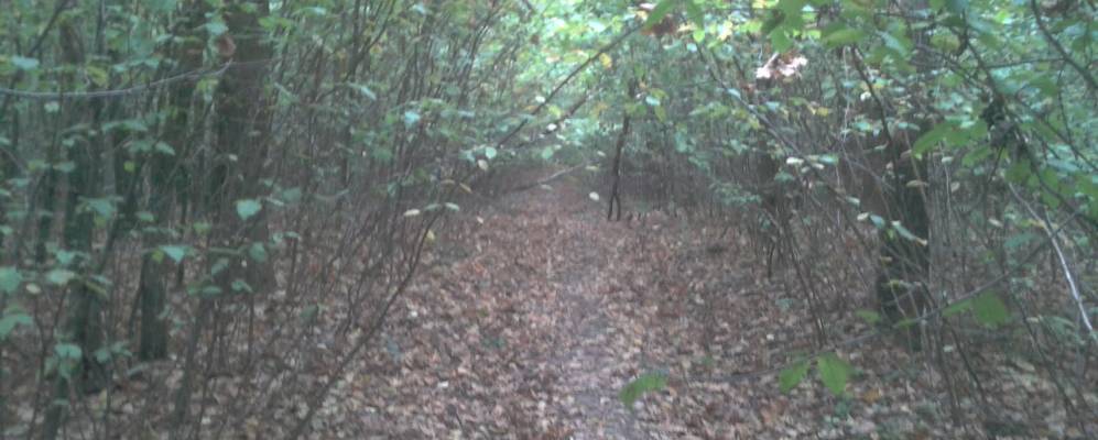 
            Фотография Романовки