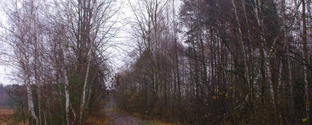 Фотография Новой Темры