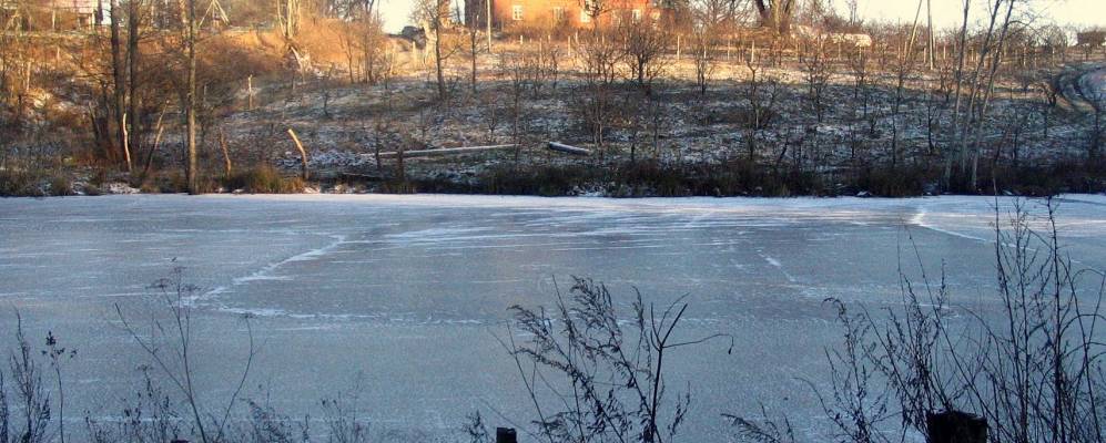 
            Фотография Веги