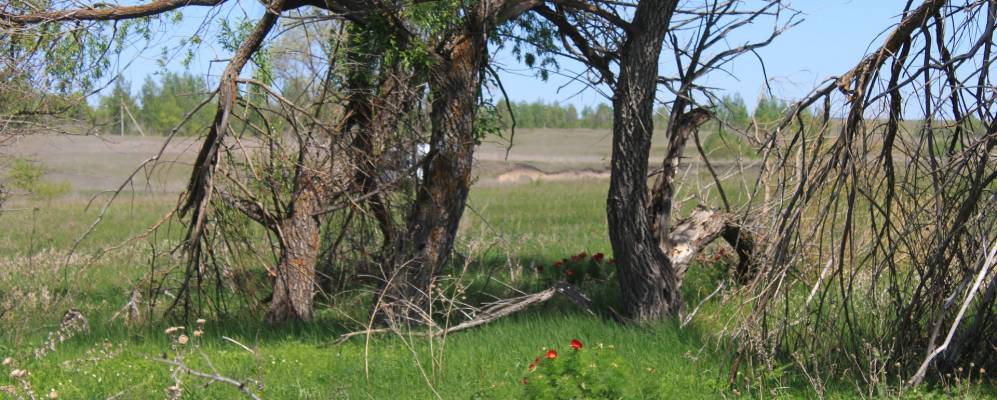 
            Фотография Белогоровки