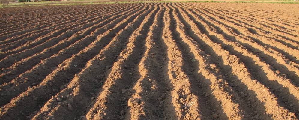 
            Фотография Уткина