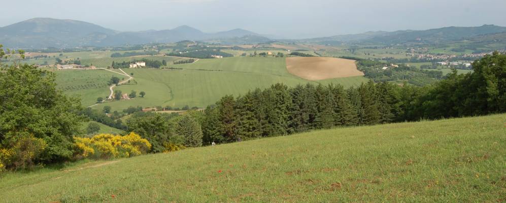 
            Фотография Пилонико-Патерно