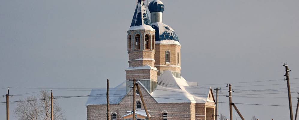 
            Фотография Лесной