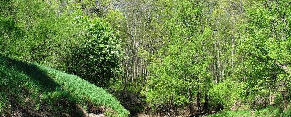 
            Фотография Пролетарского