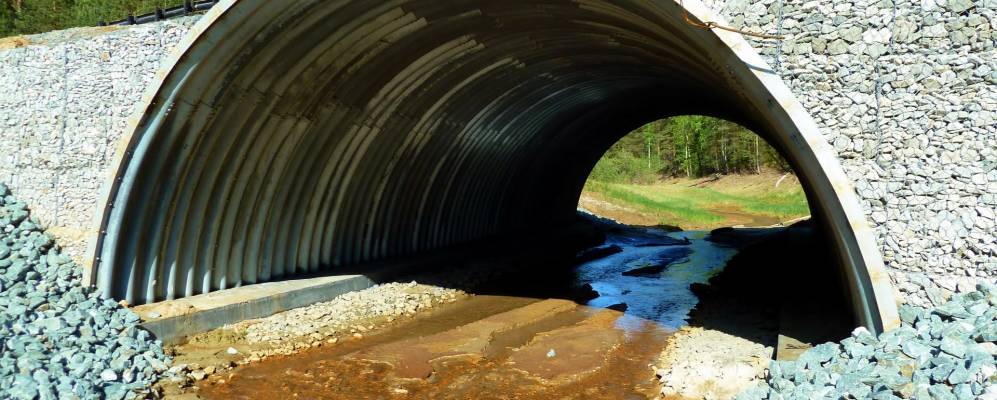 
            Фотография Русаковского