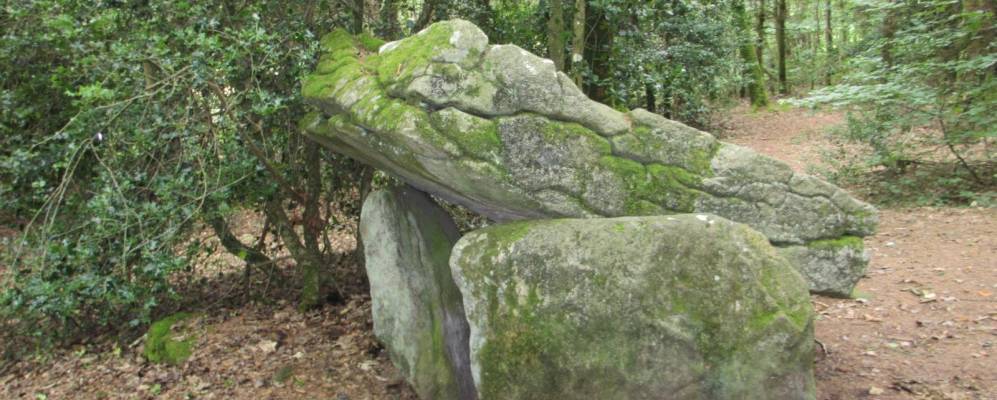 
            Фотография Плюгюфана