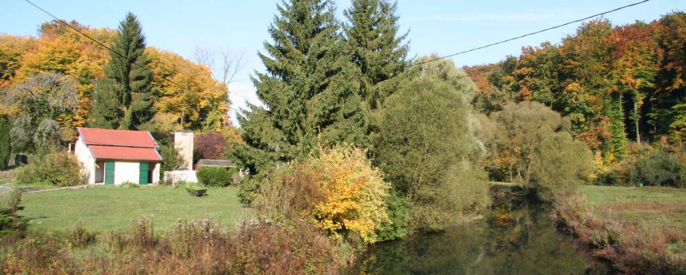 
            Фотография Брие