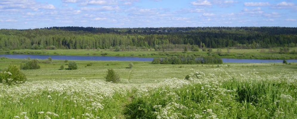 
            Фотография Бурцево