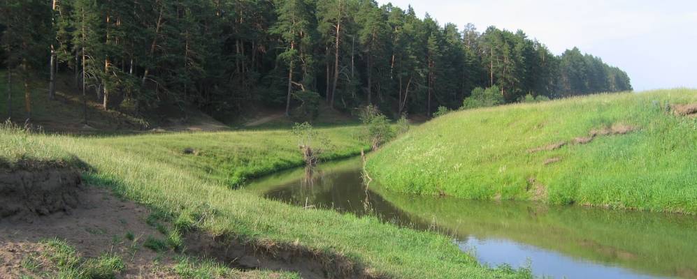 
            Фотография Чугуевского