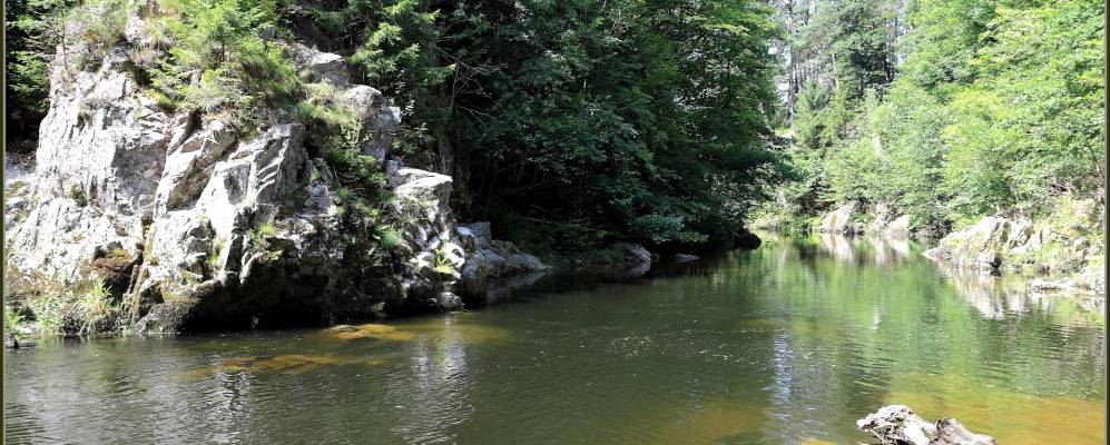 
            Фотография Тиефос