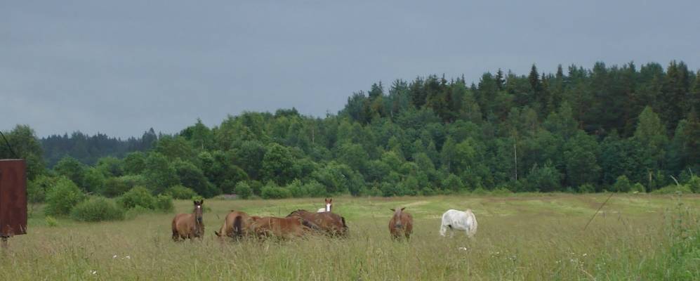 
            Фотография Сухово