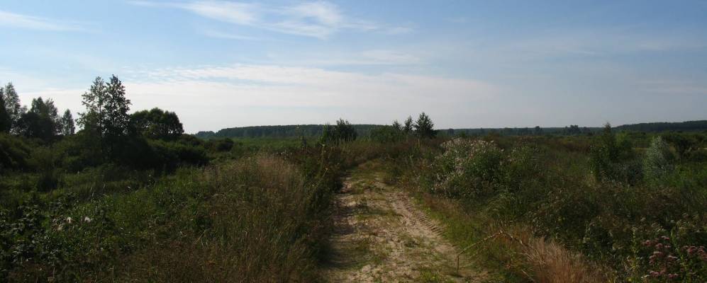 Фотография Теребеня