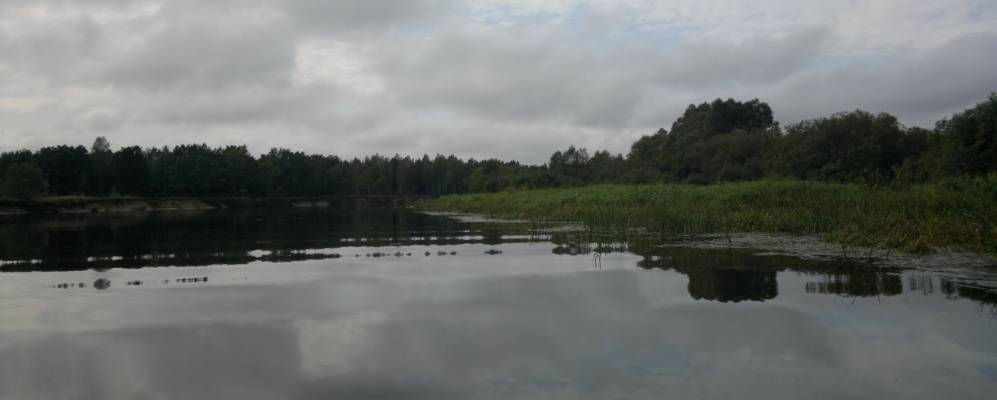 
            Фотография Затона