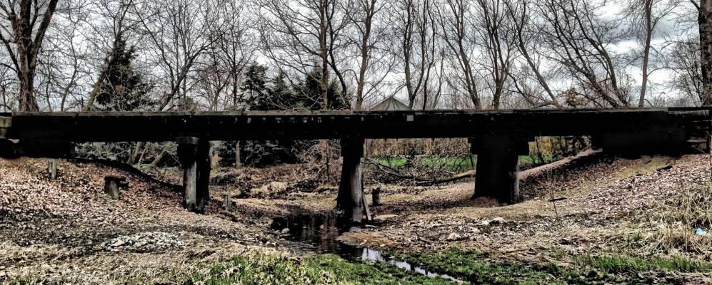 
            Фотография Робинса