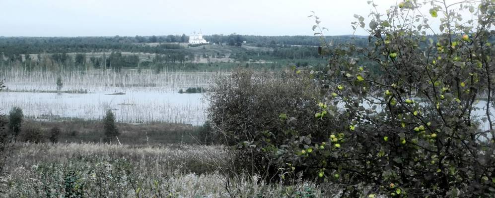 
            Фотография Осоево