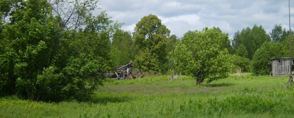 
            Фотография Починка